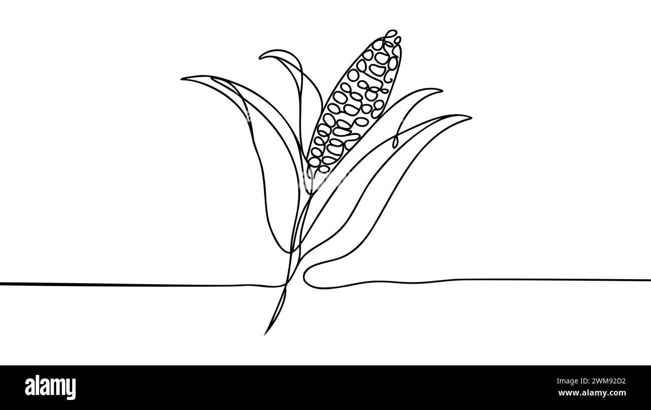 One continuous single drawing line art doodle food, illustration, corn