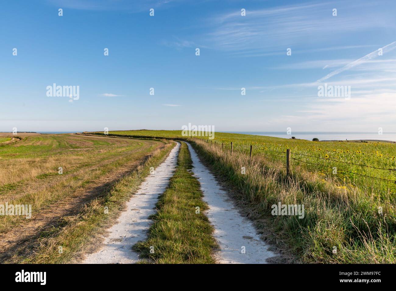 A pathway in the Sussex countryside on a sunny September day Stock Photo