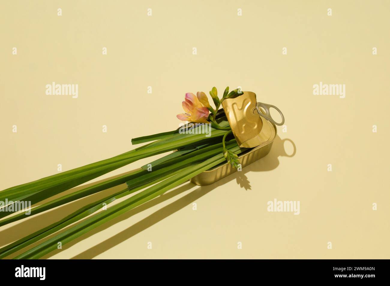 Still life of gold tin can full of fresh grass and pink flower, with fork on pastel background. Top view of environmental protection concept Stock Photo