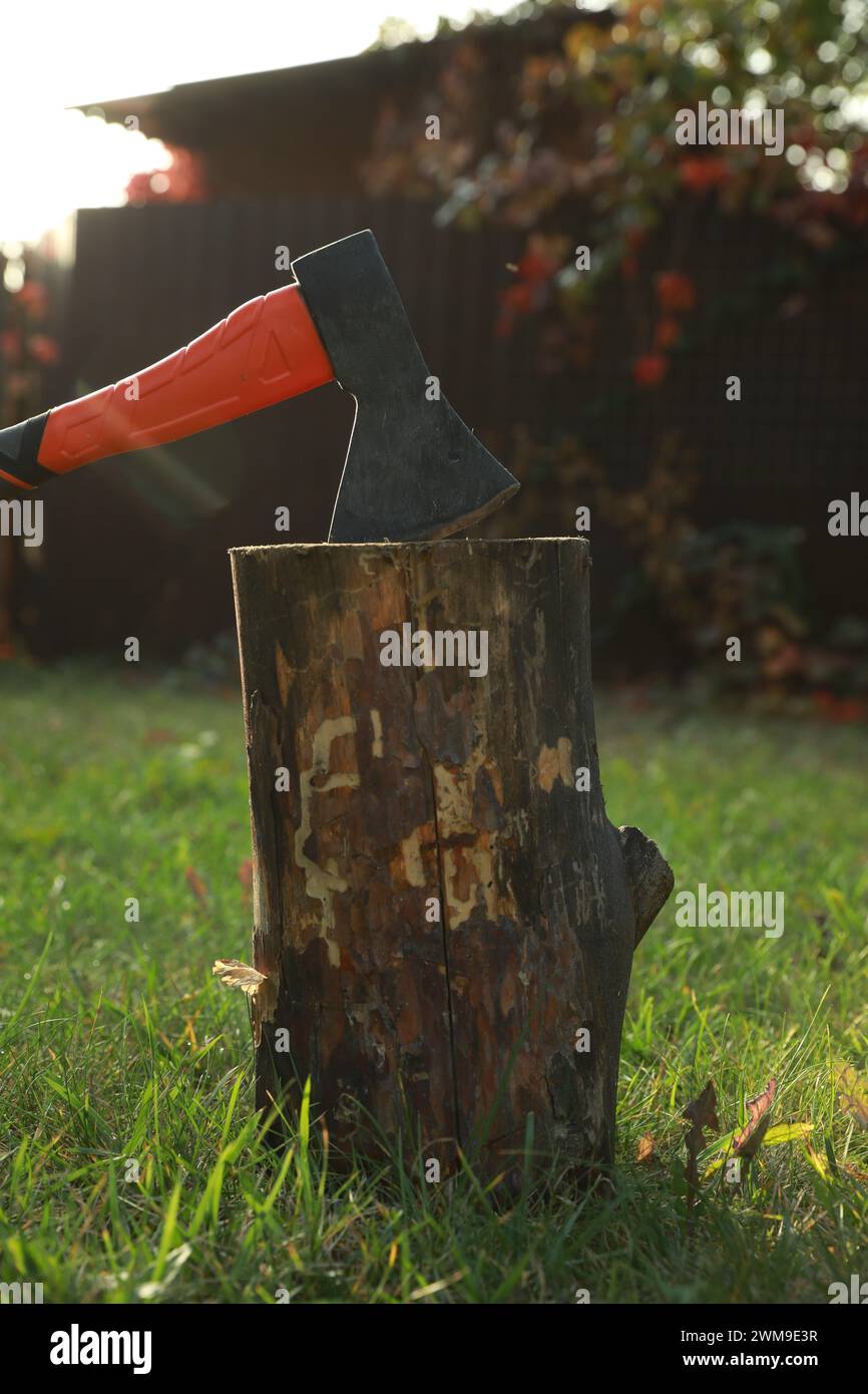 Axe in tree stump yard hi-res stock photography and images - Alamy