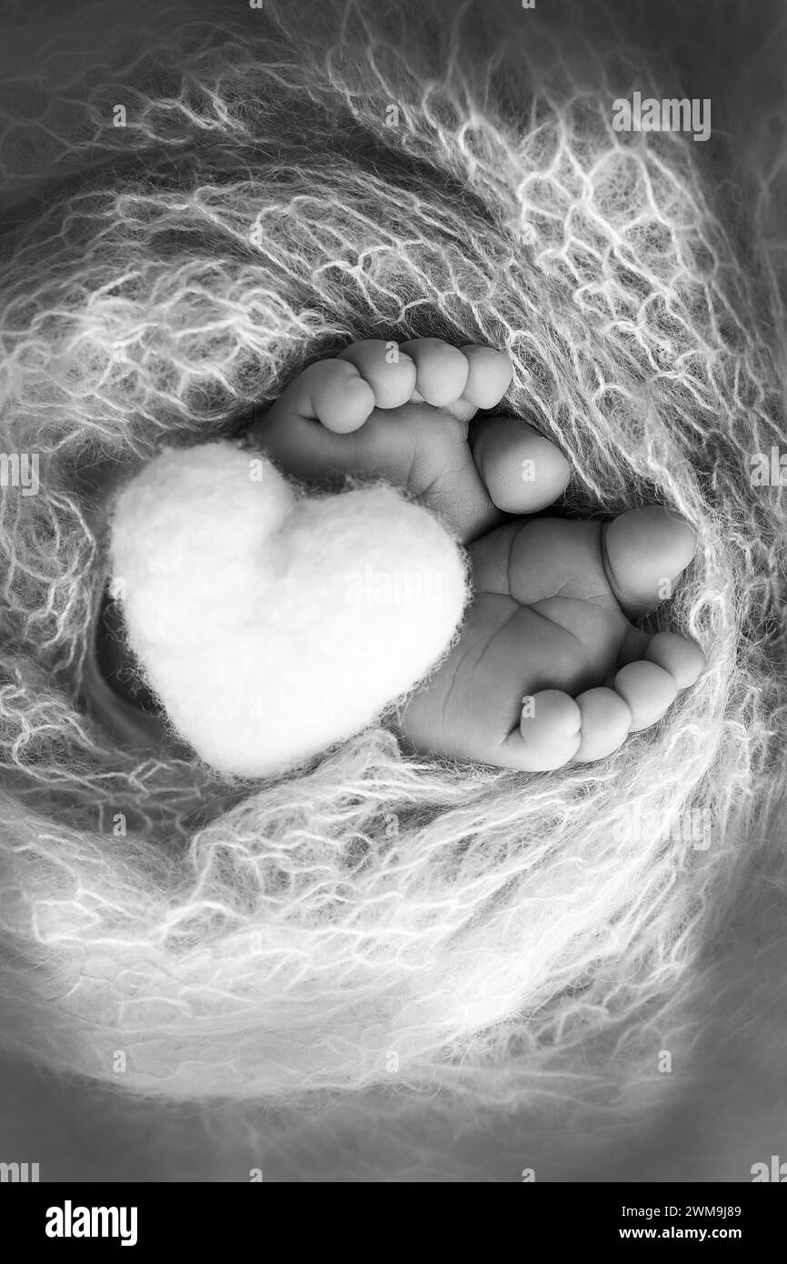 The tiny foot of a newborn baby. Soft feet of a new born in a wool