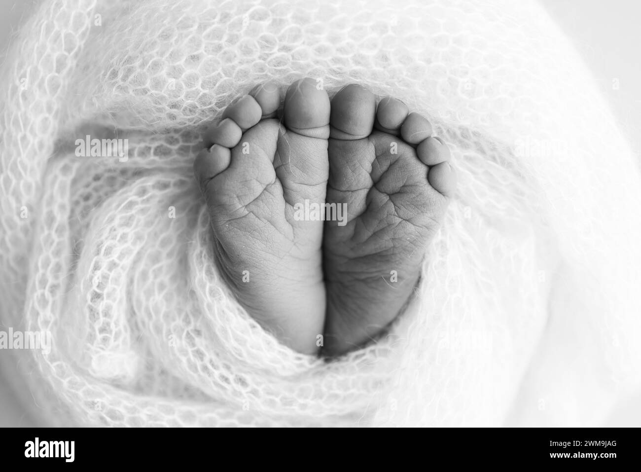 The tiny foot of a newborn baby. Soft feet of a new born in a wool