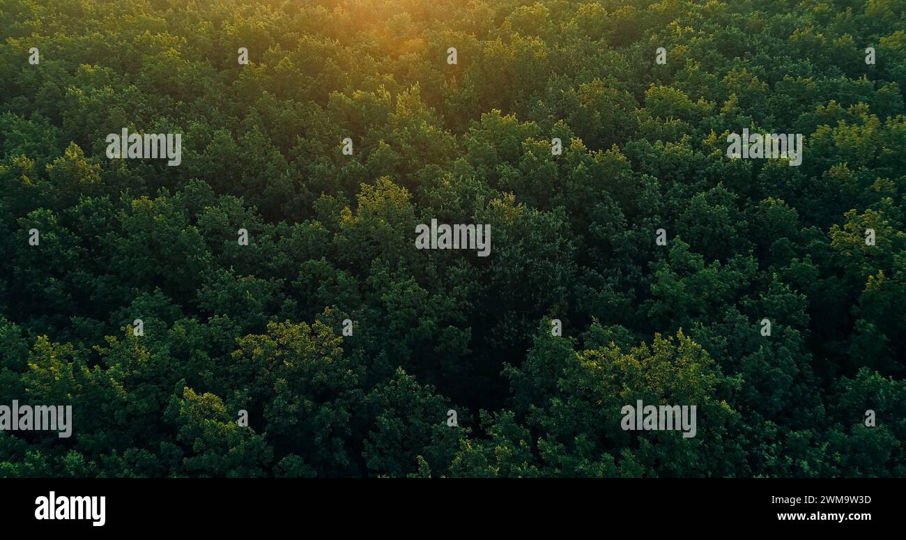 Aerial flyover shot park landscape hi-res stock photography and images ...
