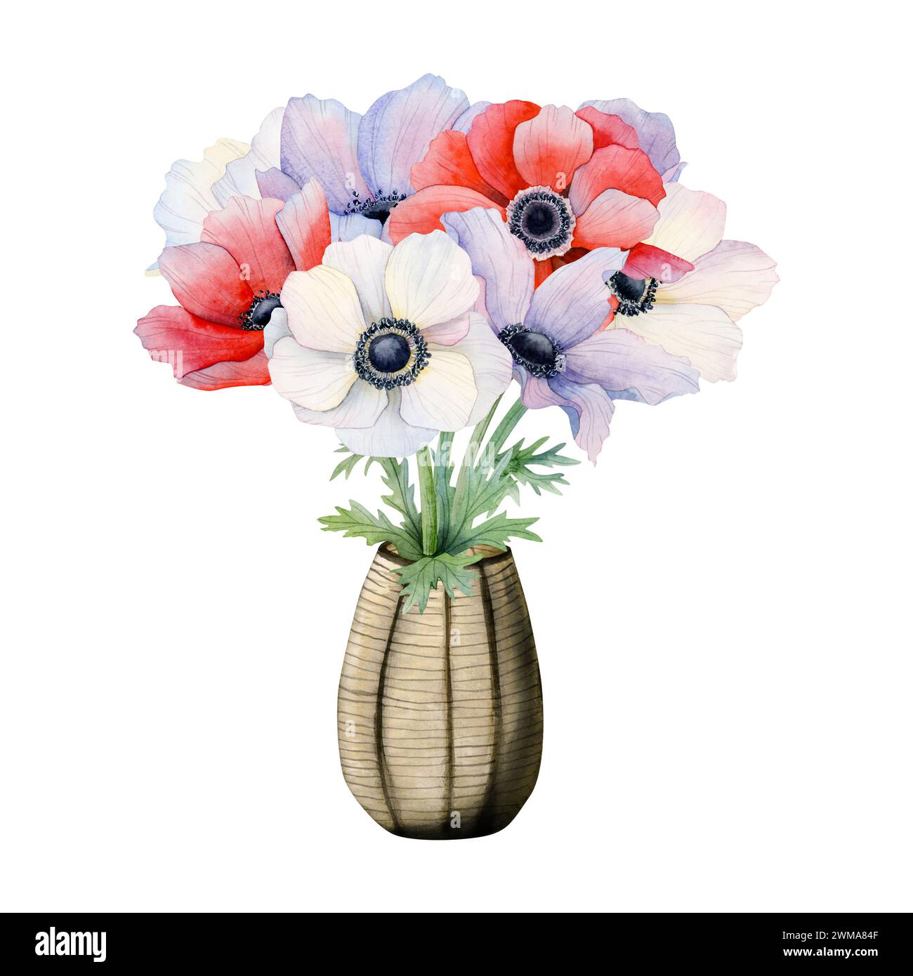Elegant anemones bouquet of purple, white and red field flowers in brown vase watercolor illustration for spring Stock Photo