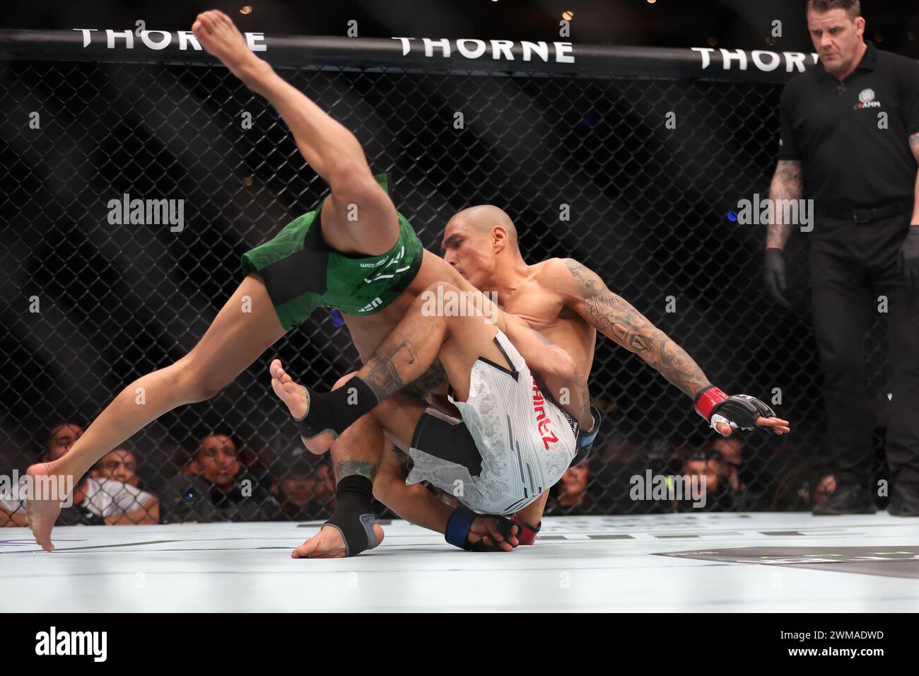 Cdmx arena hires stock photography and images Alamy