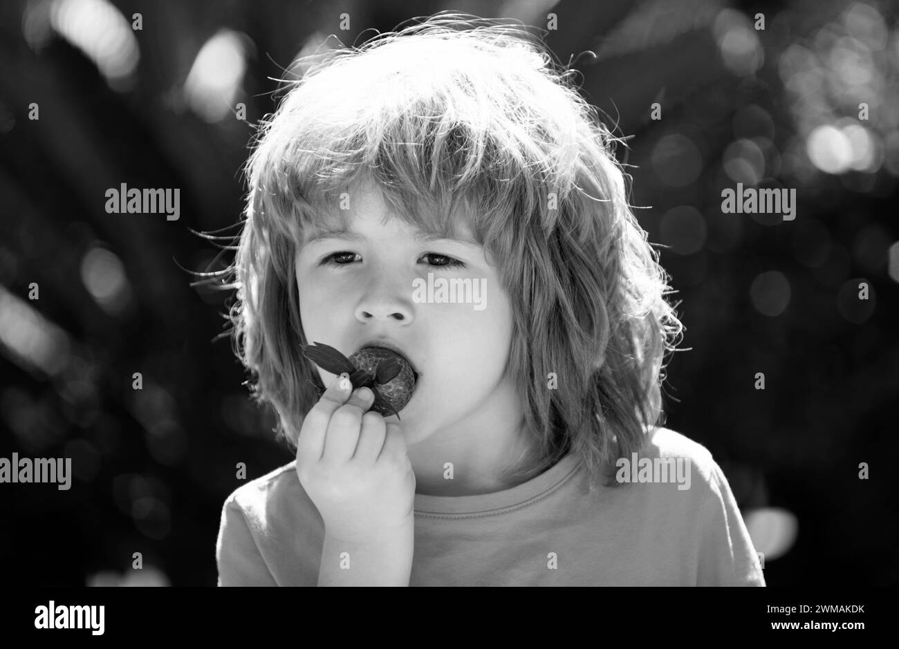 Healthy kids food. Kids pick fresh organic strawberry. Cute little boy