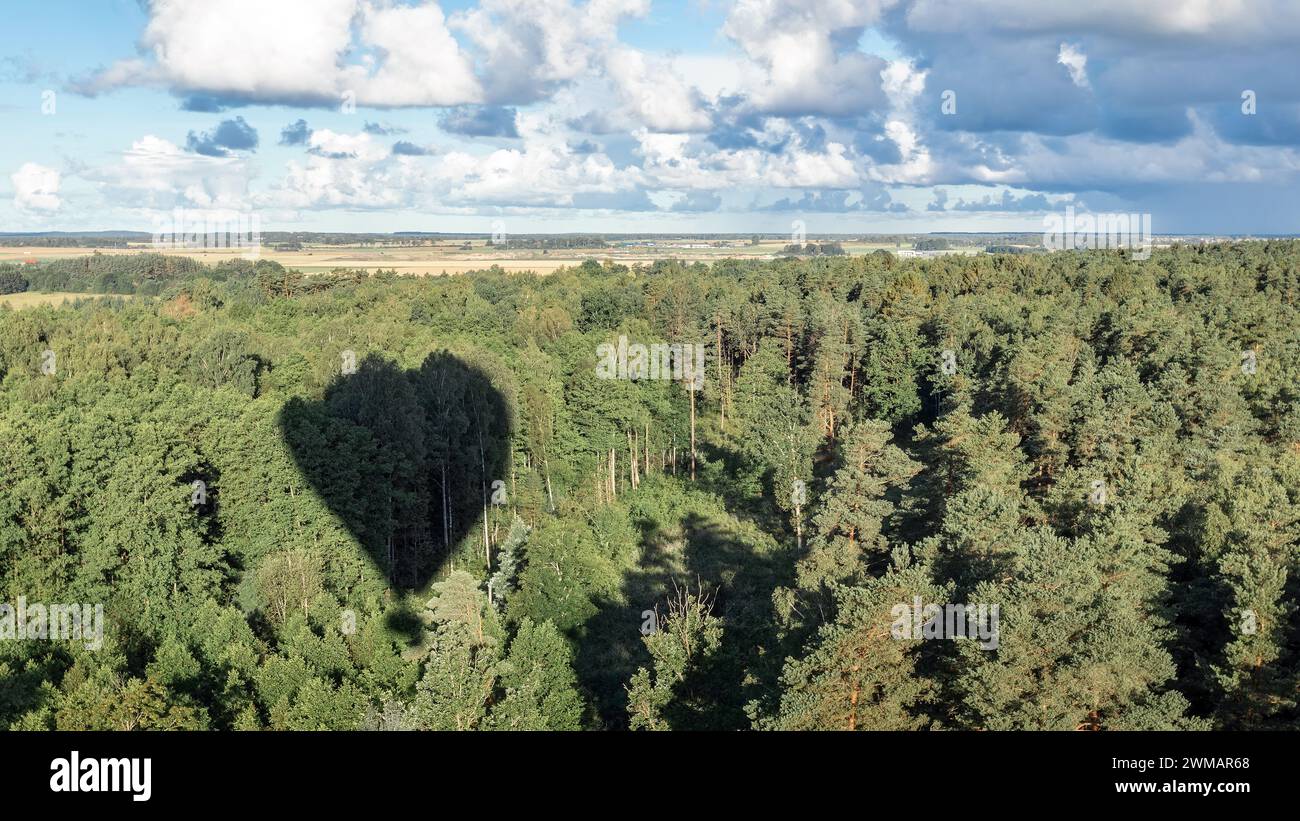 A hot air balloon descending over a forest and its shadow. Stock Photo