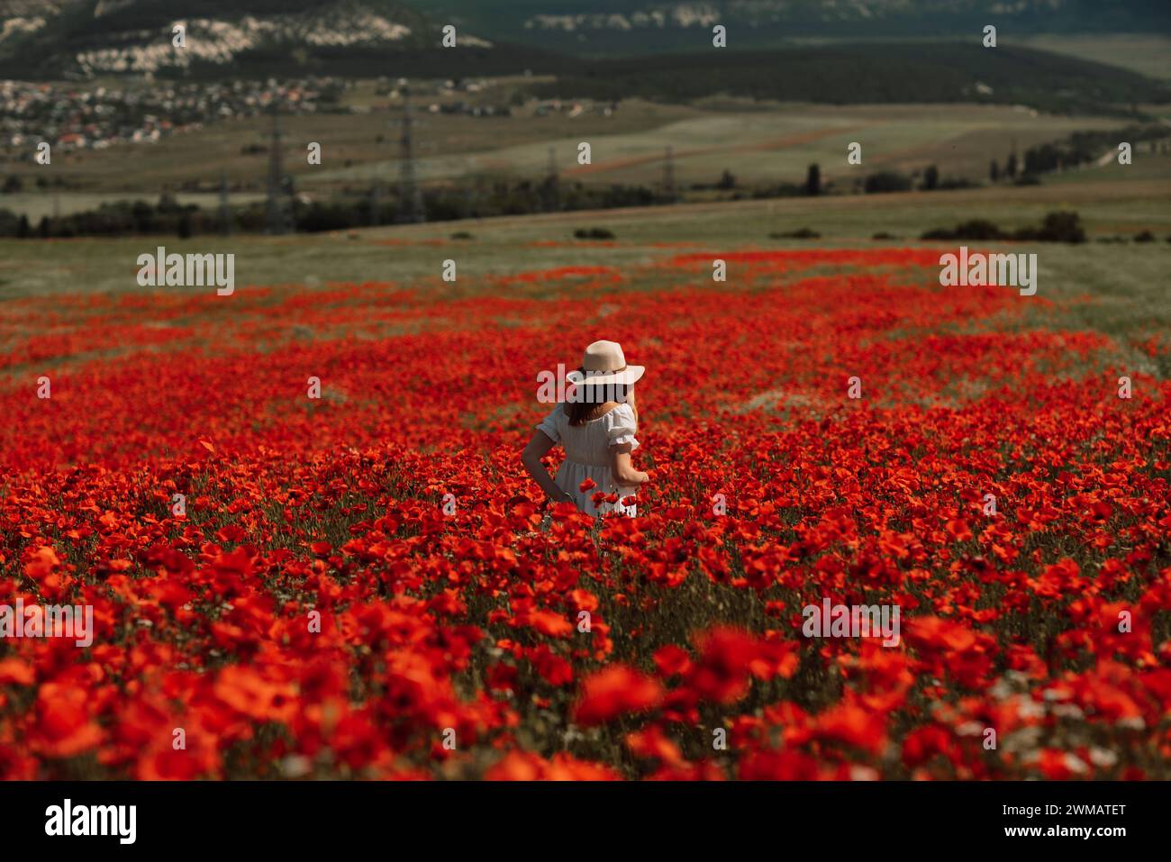 Field poppies woman. Happy woman in a white dress and hat stand with ...