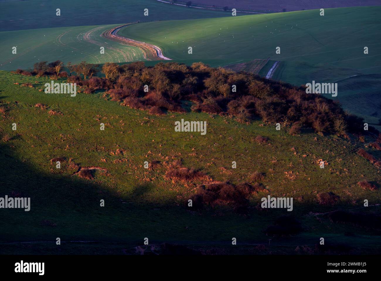 Brighton, February 25th 2024: Sunrise in the South Downs National Park at sunrise this morning Credit: Andrew Hasson/Alamy Live News Stock Photo