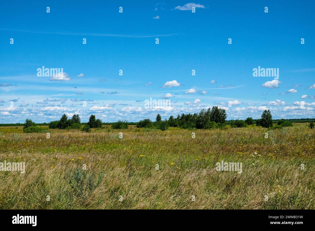 The image shows a clear sky with scattered clouds over a lush green ...