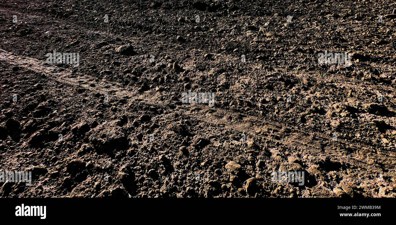 View of Tire tracks are imprinted on a rocky and uneven surface, suggesting off ...