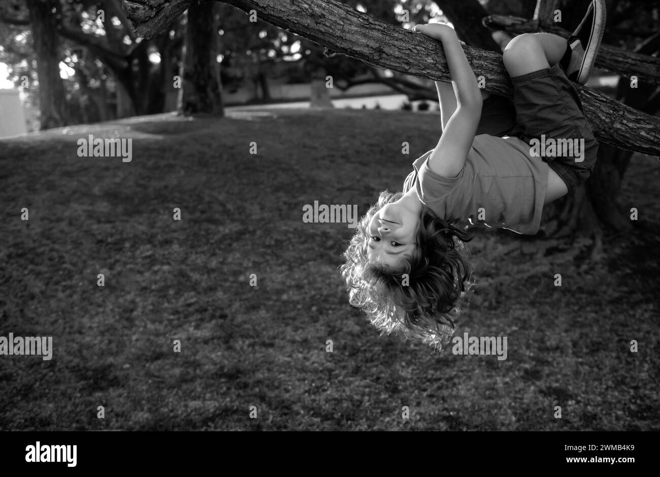 Young kid boy playing and climbing a tree and hanging upside down. Teen