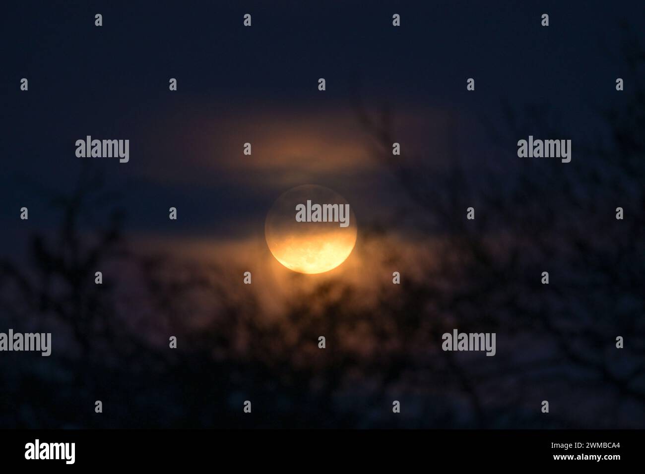 Essex, UK. 24th Feb, 2024. The Full Snow Moon rises over farmland in