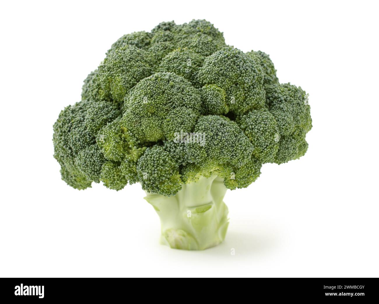 Broccoli vegetable on white background Stock Photo