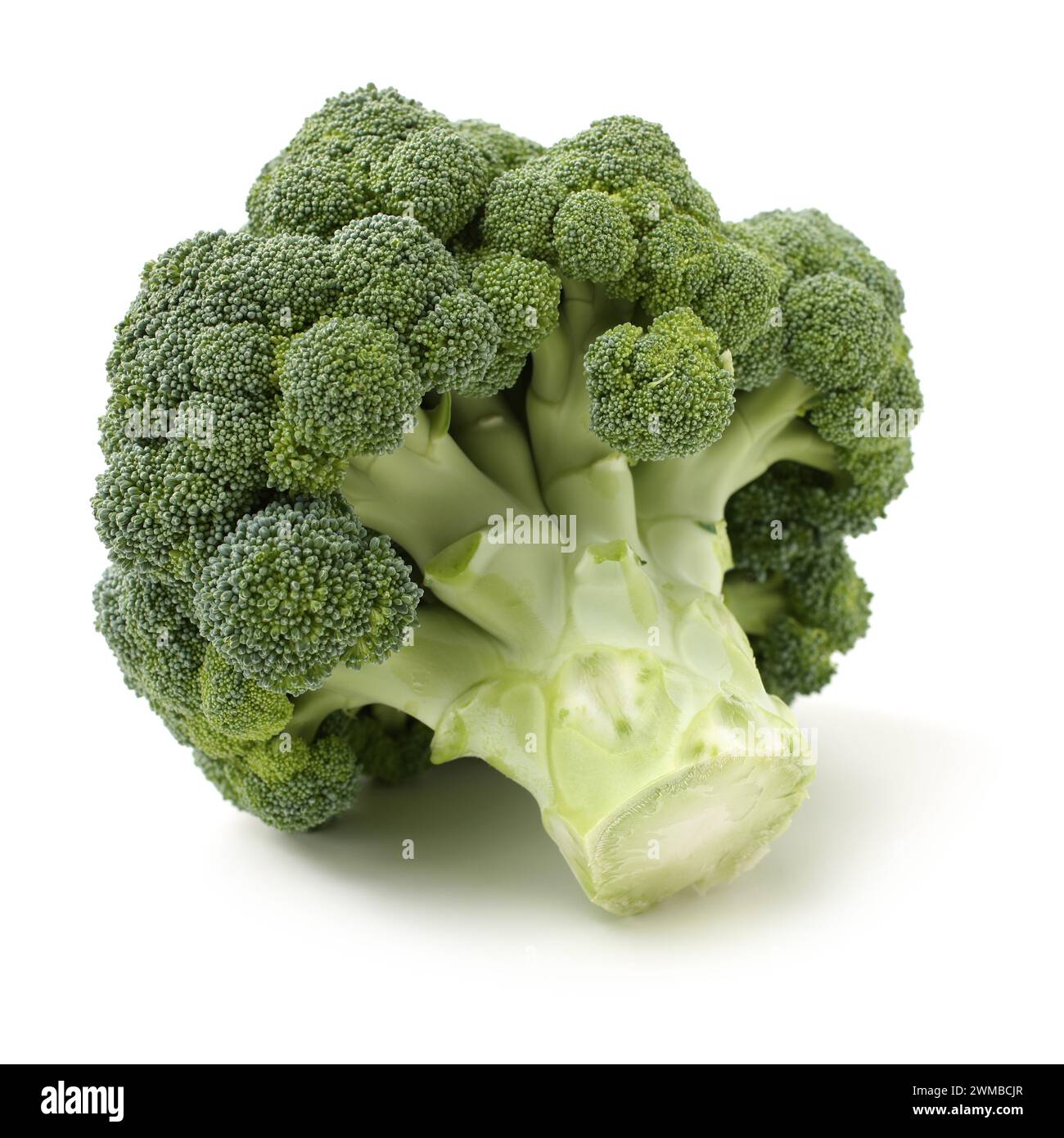 Broccoli vegetable on white background Stock Photo
