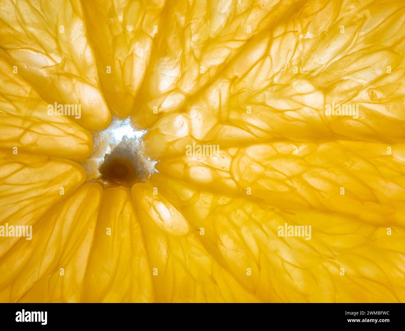 Orange fruit close up photography hi-res stock photography and images ...