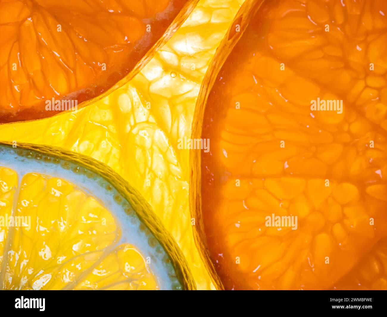 Transparent citrus fruit hi-res stock photography and images - Alamy