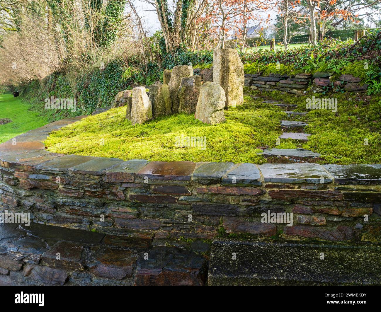 Japanese influenced raised moss garden using local granite stones and slate slabs at The Garden House, Devon, UK Stock Photo