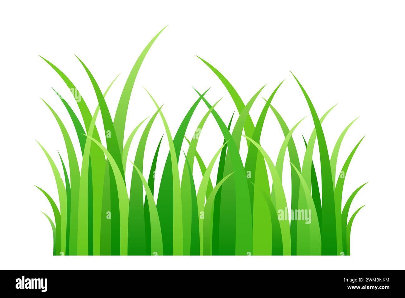Green grass, illustration of a short strip of fresh spring grass blades. Front view of chlorophyll green stalks in a row, and a piece of lawn. Stock Photo