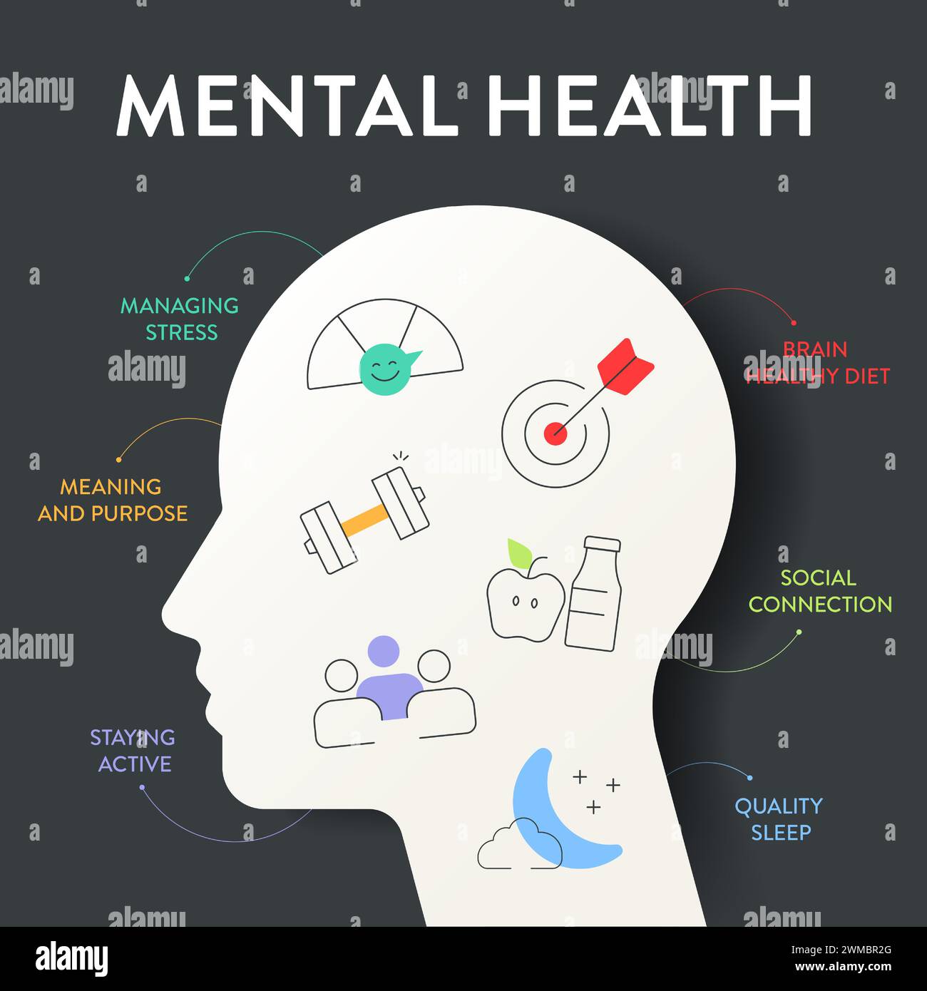 Mental Health Infographic Diagram Chart Illustration Banner Mental Health Infographic Diagram Chart Illustration Banner