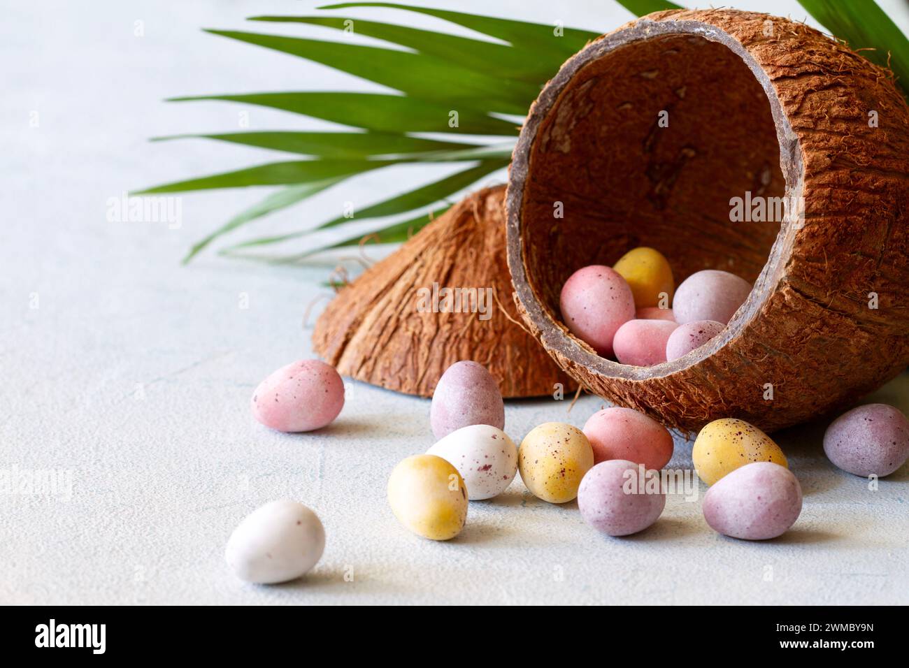 Colorful chocolate eggs in coconut shell, creative easter travel concept Stock Photo