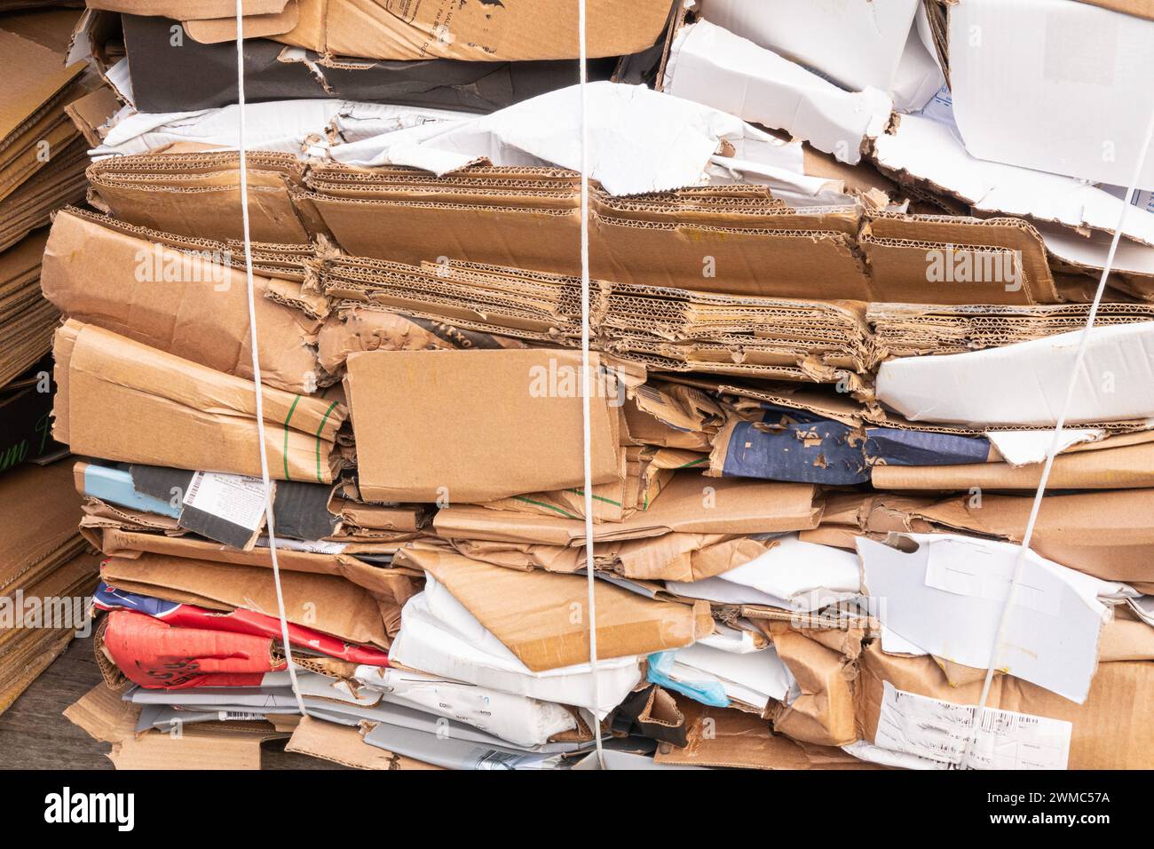 Cardboard waste tied together on a pallet. Close up image. Stock Photo