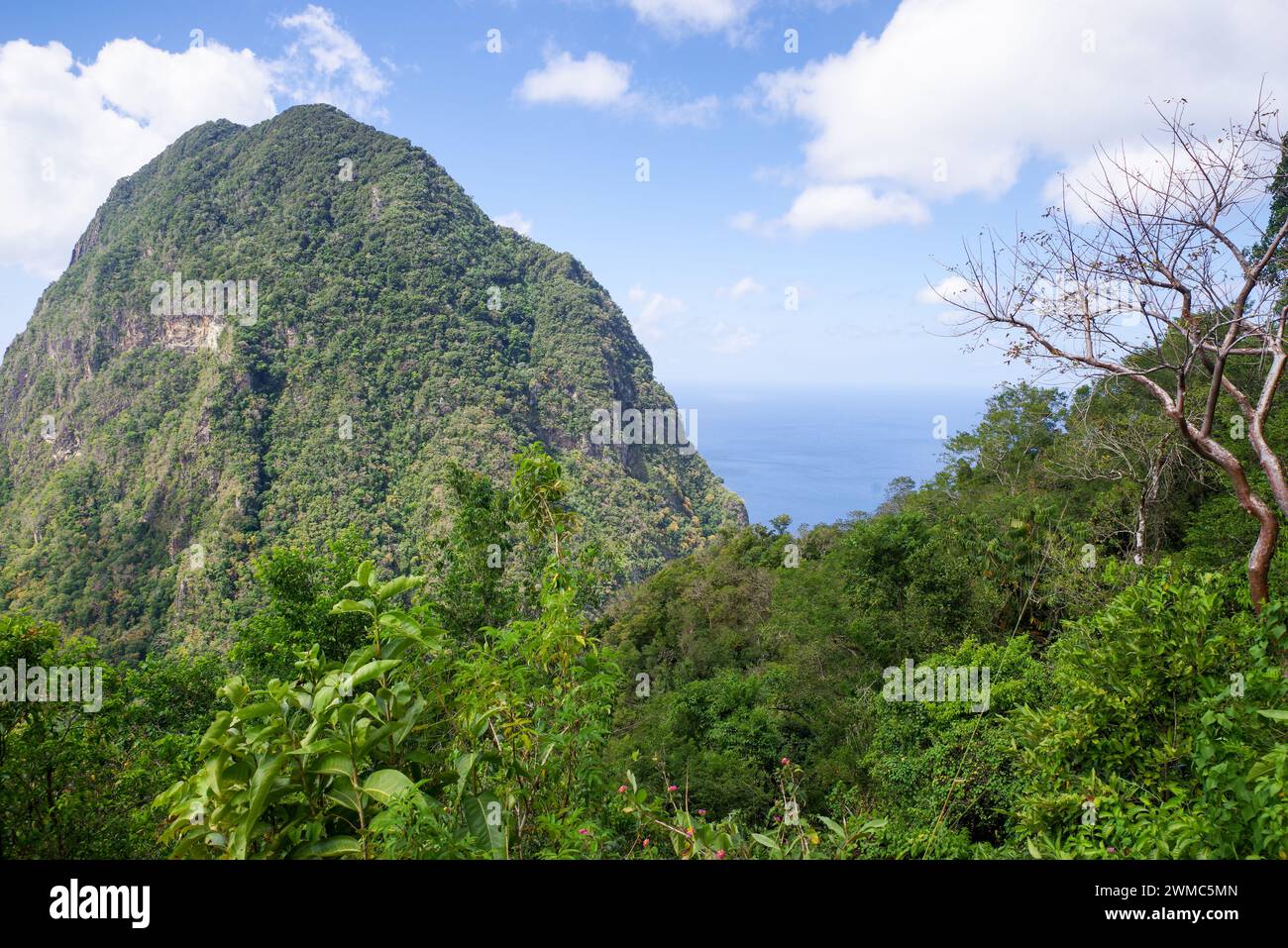 The iconic Gros Piton seen from Tet Paul nature trail - Saint Lucia, West Indies Stock Photo