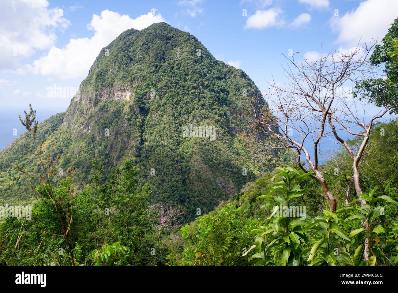 The iconic Gros Piton seen from Tet Paul nature trail - Saint Lucia, West Indies Stock Photo
