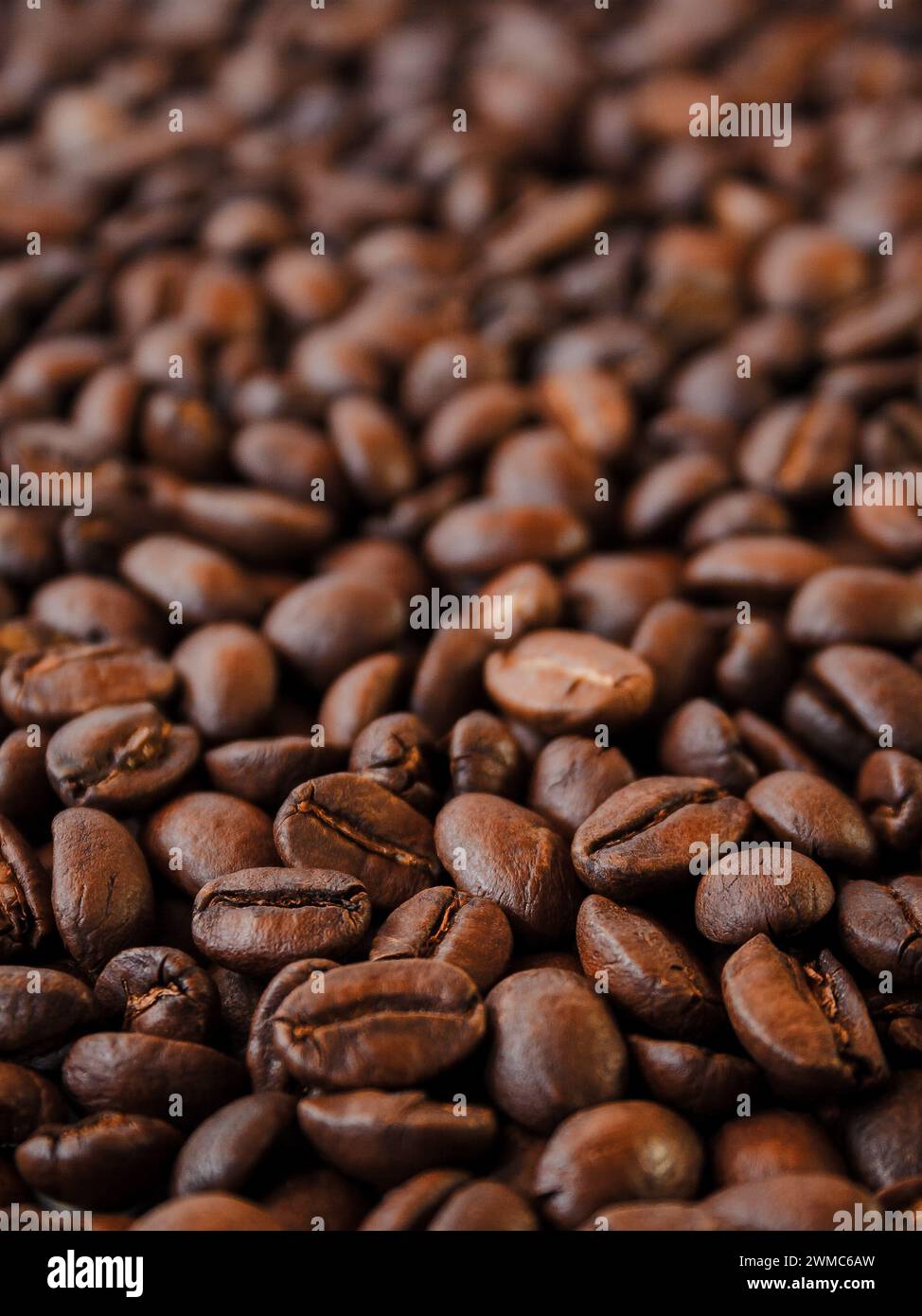 closeup of roasted coffee beans. brown arabica or robusta texture. shallow depth of field Stock Photo