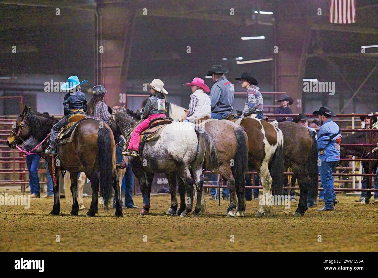 Horses and riders forming a line to direct calves to the center of the ...