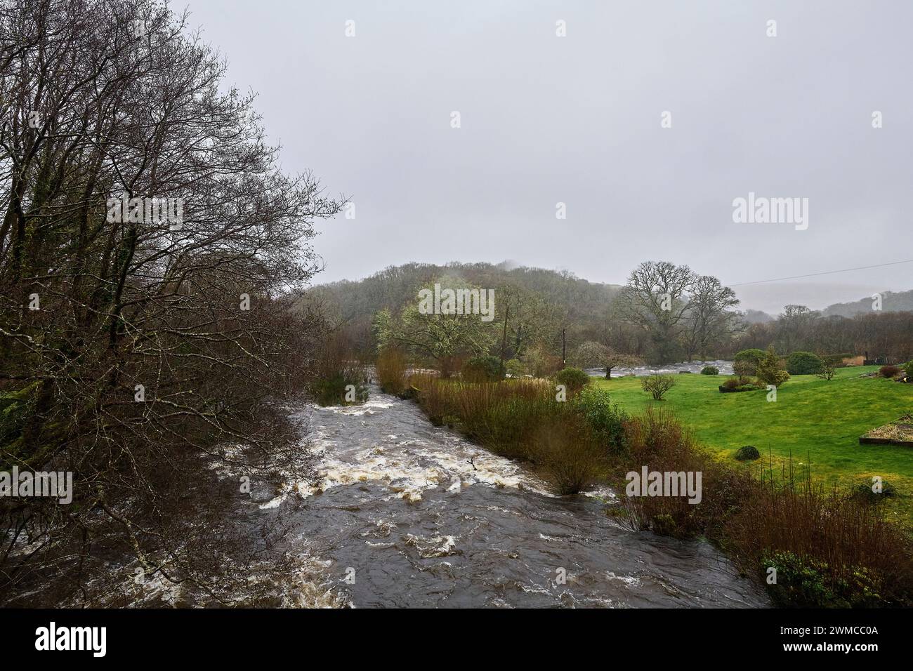 Dartmeet, Dartmoor, United Kingdom, 25th Feb, 2024. Heavy Rain and Flooding on the River Dart on Dartmoor. Credit: Will Tudor/Alamy Live News Stock Photo