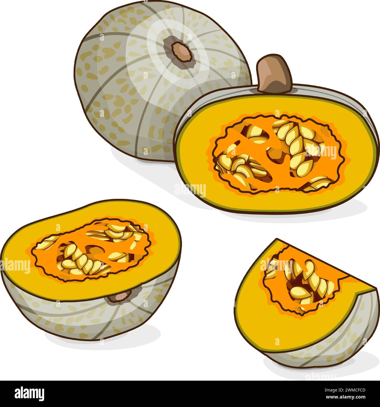 Whole and chopped Confection squash. Winter squash. Cucurbita maxima. Vegetables. Clipart. Isolated vector illustration. Stock Vector