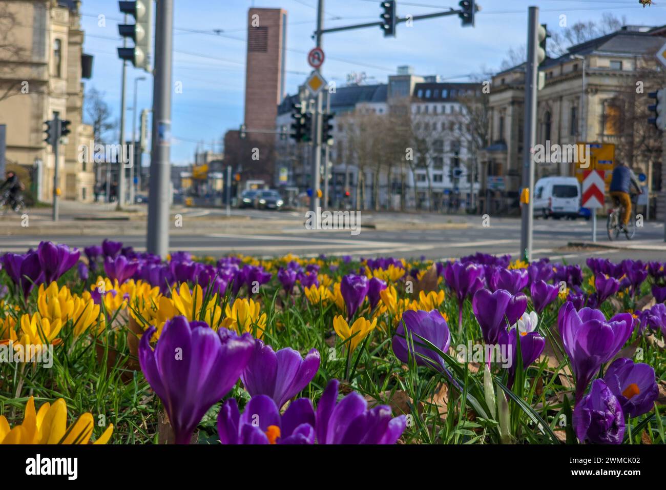 Leipzig - Frühling kommt in Leipzig an: Messtadt blüht auf 25.02.2024 gegen 12.30 Uhr Leipzig, Stadtgebiet Fotograf: EHL Media/Björn Stach Am letzten Februarwochende strahlt in Sachsens größter Stadt die Sonne kräftig und damit tauchen auch die ersten Frühlingsblüher auf. Krokusse und Schneeglöckchen blühen im Stadtbild, auch vor dem Neuen Rathaus. Und auch die ersten Insekten zeigen sich wieder. Unterwegs sind auch die Freunde der Trabbi-Liebhaber. Mit bis zu zwölf Grad Celsius geht der letzte Wintermonat sehr warm zu Ende, bringt aber auch Vorfreude auf die kommende Jahreszeit. Leipzig Sachs Stock Photo