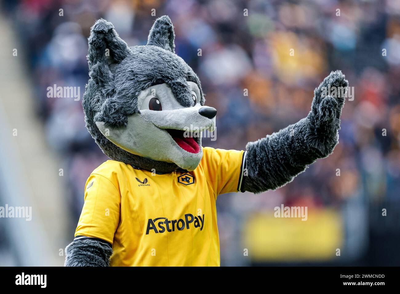 Wolverhampton, UK. 25th Feb, 2024. Wolves' mascot pictured ahead of the Premier League match between Wolverhampton Wanderers and Sheffield Utd at Molineux, Wolverhampton, England on 25 February 2024. Photo by Stuart Leggett. Editorial use only, license required for commercial use. No use in betting, games or a single club/league/player publications. Credit: UK Sports Pics Ltd/Alamy Live News Stock Photo