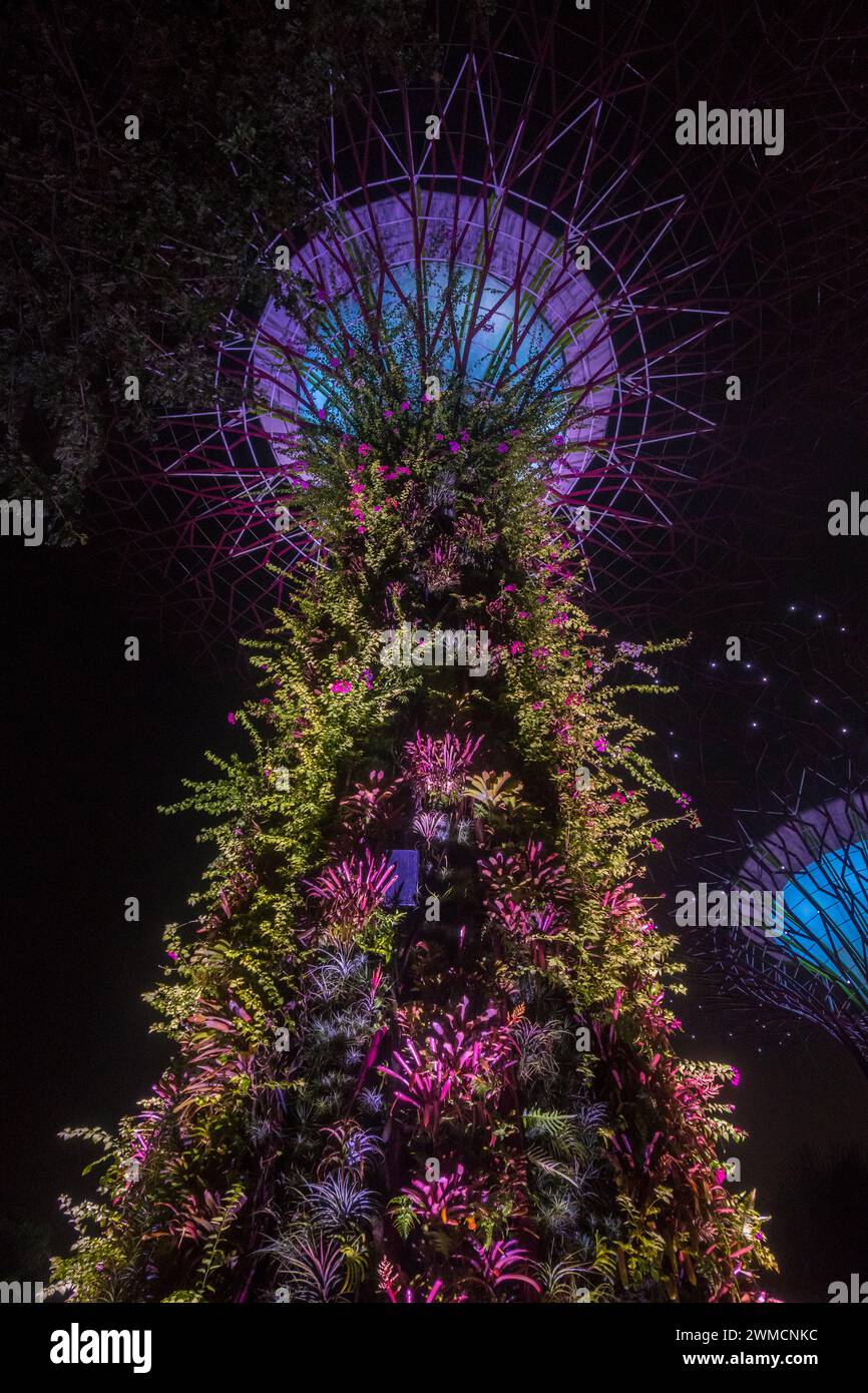 Gardens by the bay singapore 2023 hi-res stock photography and images ...