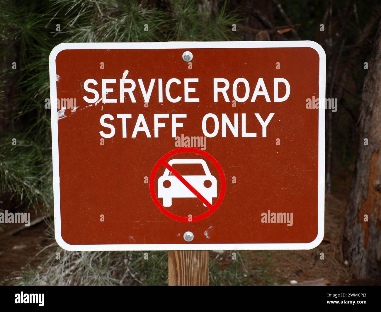 Miami, Florida, United States - January 27, 2024: Service Road staff ...