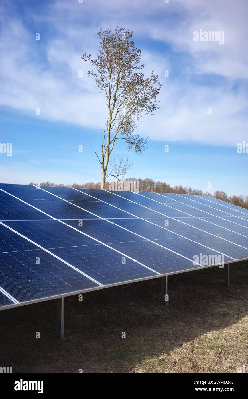Photovoltaic modules in a rural setting on a sunny day, selective focus. Stock Photo