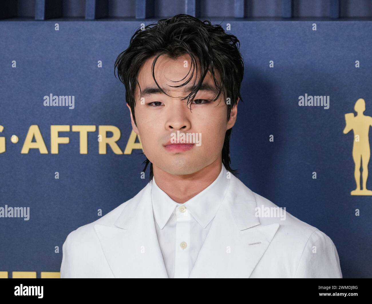 Los Angeles, USA. 24th Feb, 2024. Dallas Liu walking on the red carpet