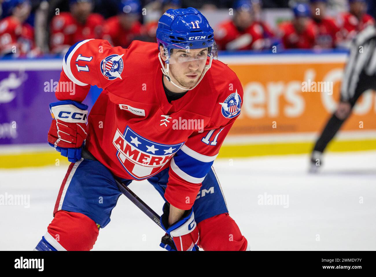 February 16th, 2024: Rochester Americans forward Lukas Rousek (11 ...