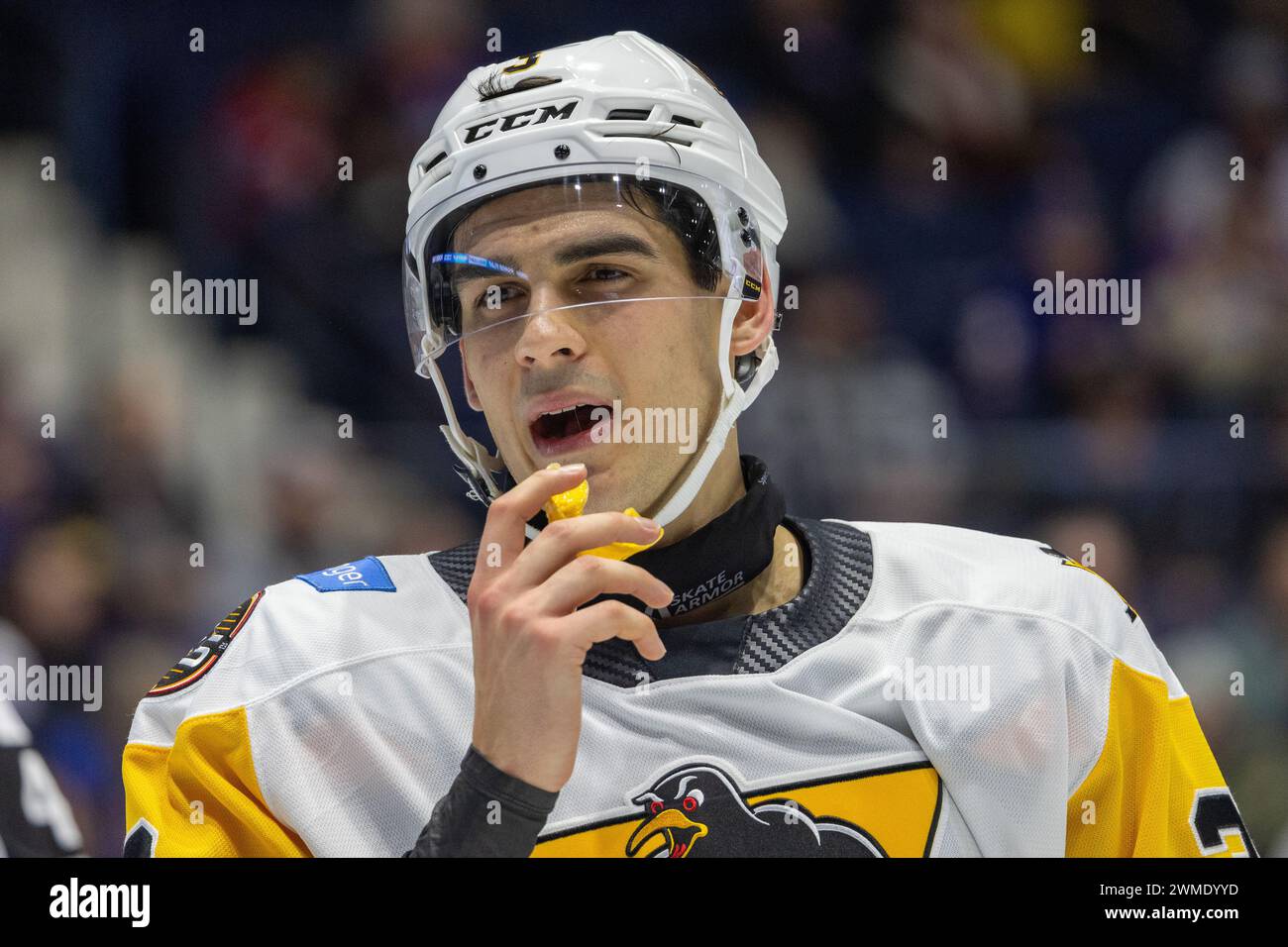 February 16th, 2024: Wilkes Barre Scranton Penguins defenseman Jack St ...