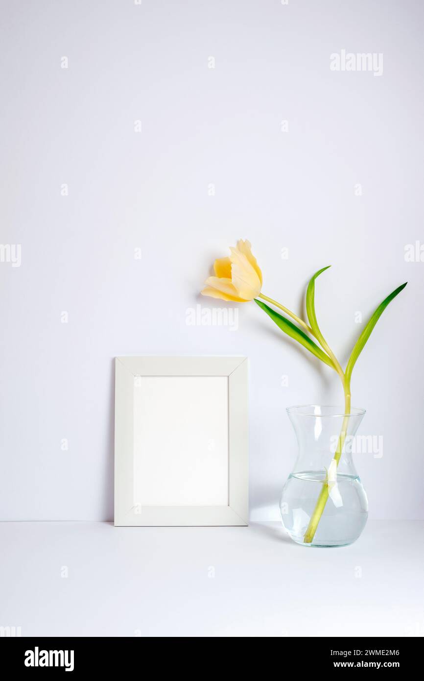 Blank picture frame and yellow tulip in vase on the white background. Holiday, Women's Day or Mother's Day concept. Stock Photo
