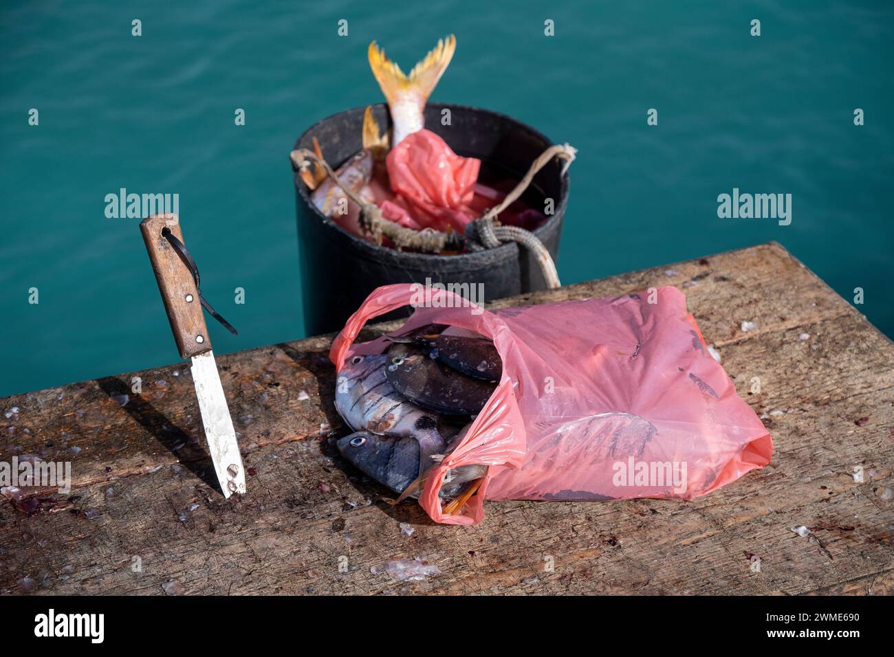 Fishermans Catch, Knife and Butchers Table, The Pier, Santa Maria, Sal, Cape Verde, Africa Stock Photo