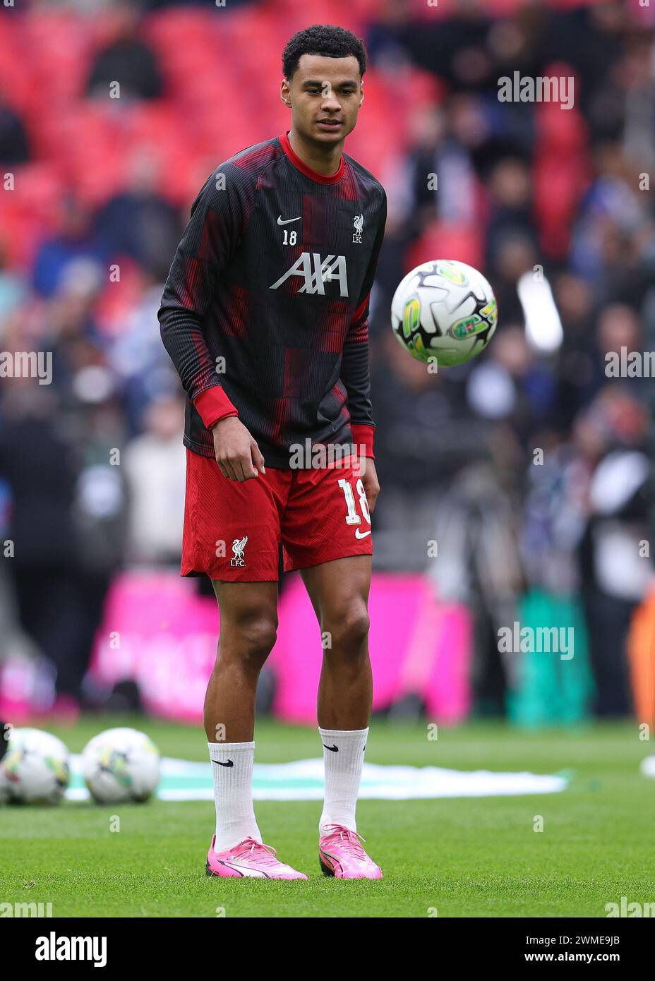 London, England, 25th February 2024. Cody Gakpo of Liverpool warms up before the Carabao Cup match at Wembley Stadium, London. Picture credit should read: Paul Terry / Sportimage Stock Photo