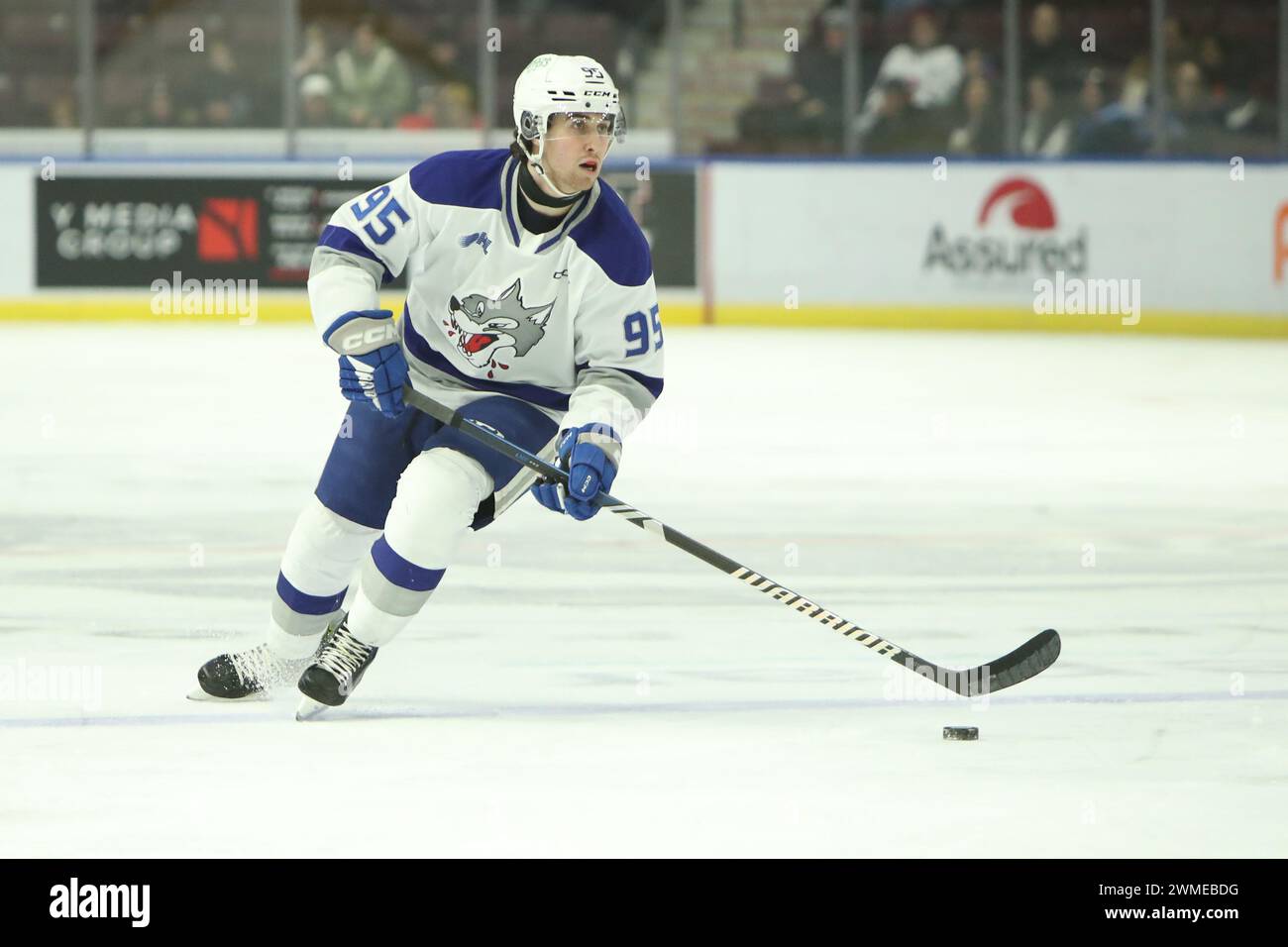 Mississauga, Canada. 25th Feb, 2024. Feb 25 2024, Mississauga Ontario Canada, The Mississauga Steelheads Beat the Sudbury Wolves 4-3 in regulation.(Editorial Only) Nick DeAngelis(95) of the Sudbury Wolves. Credit: Luke Durda/Alamy Live News Stock Photo