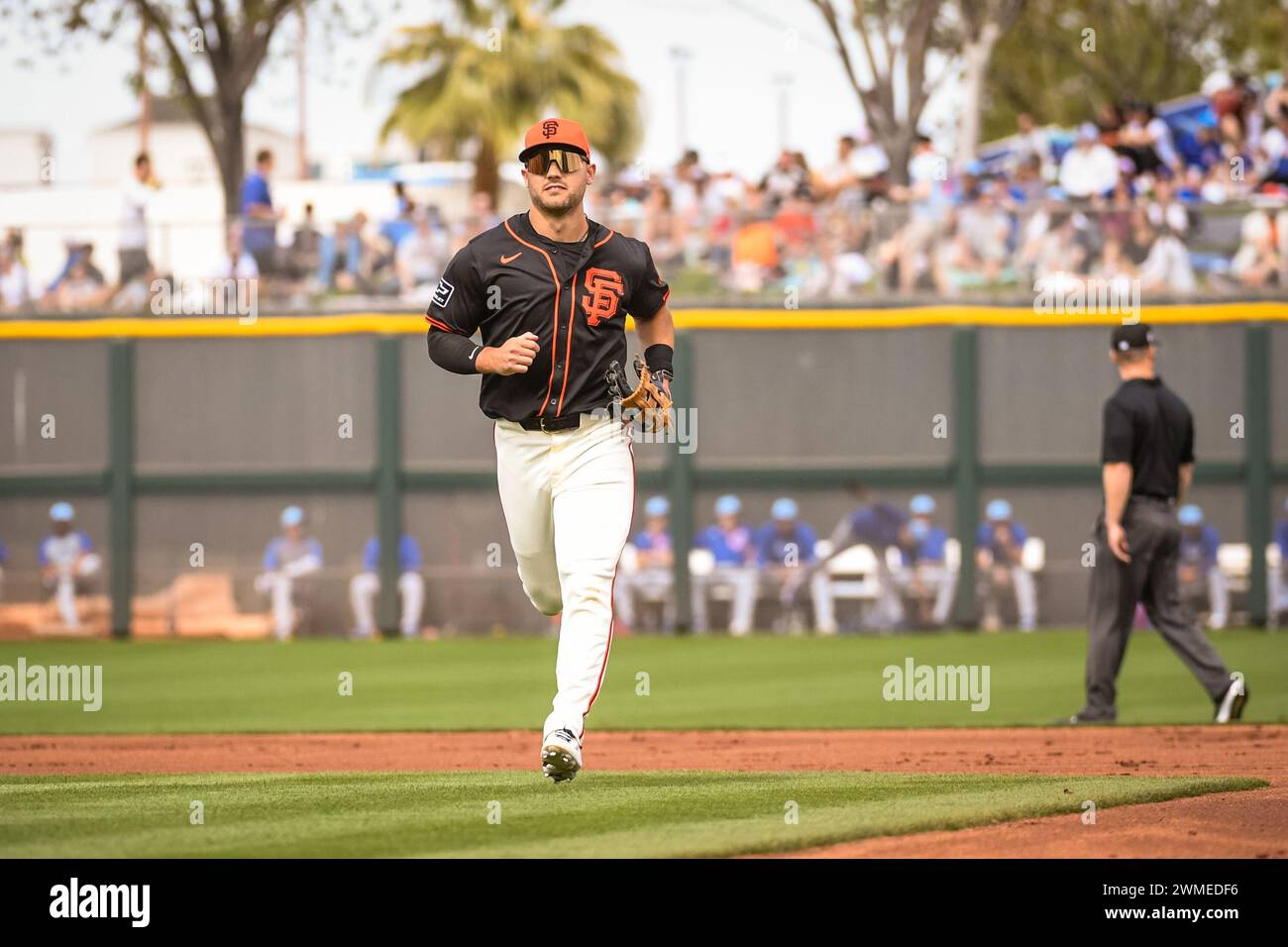 Conforto hi res stock photography and images Alamy