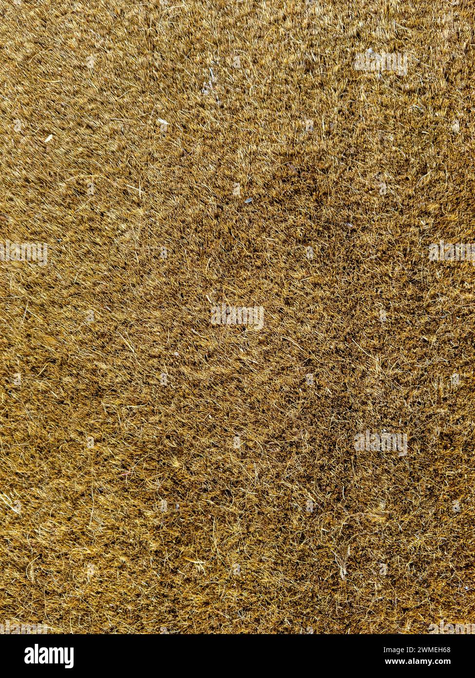 A natural fiber door mat or floor mat background texture Stock Photo