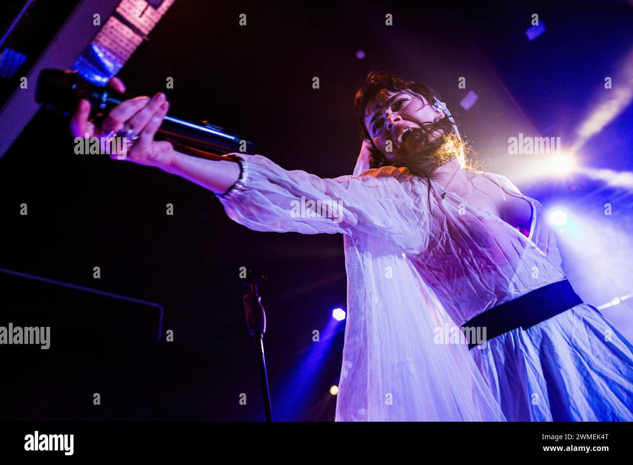 Abigail morris hi-res stock photography and images - Alamy