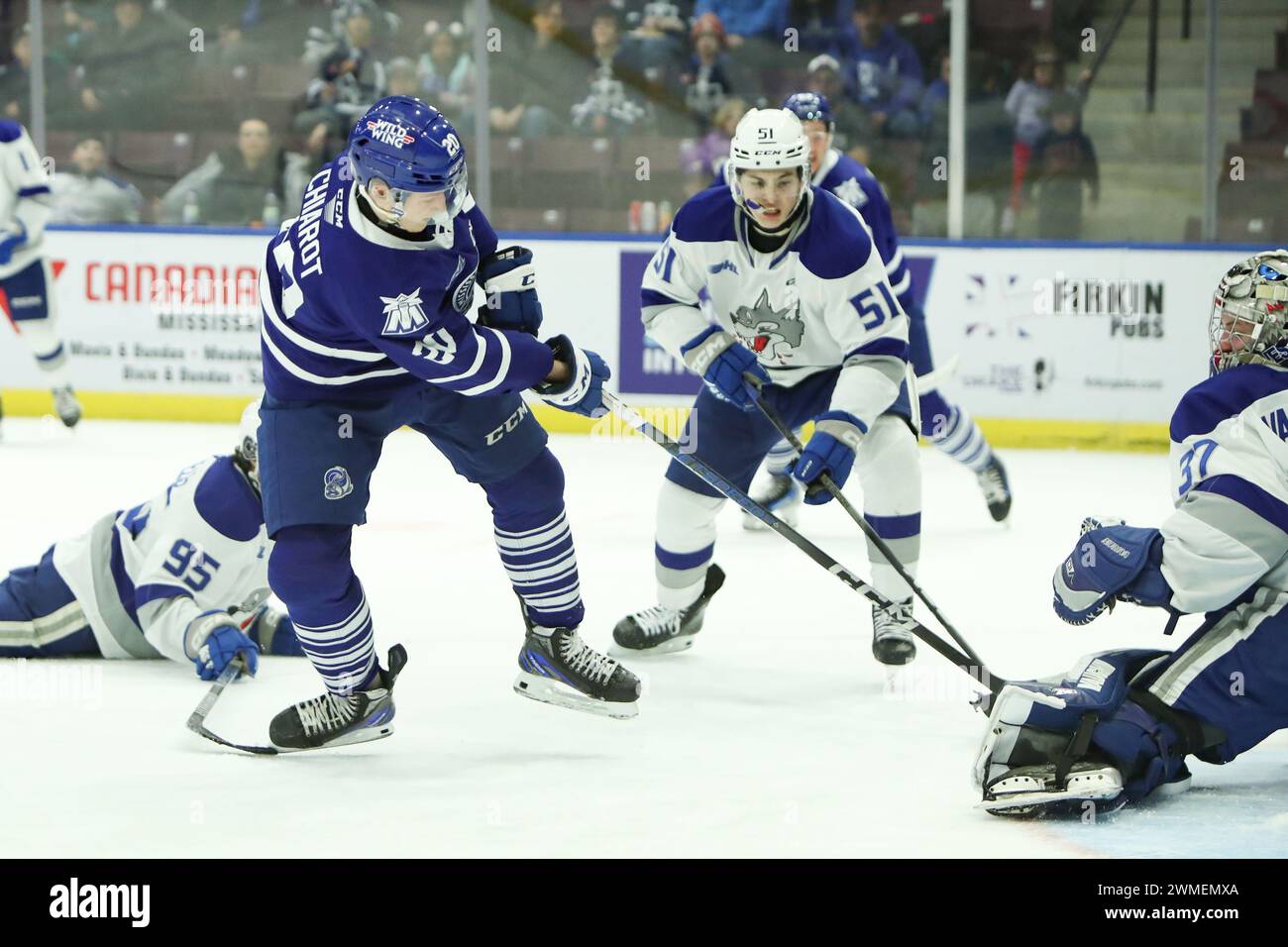 Mississauga, Canada. 25th Feb, 2024. Feb 25 2024, Mississauga Ontario Canada, The Mississauga Steelheads Beat the Sudbury Wolves 4-3 in regulation.(Editorial Only)Gabriel Chiarot(20) of the Mississaua Steelheads. Credit: Luke Durda/Alamy Live News Stock Photo