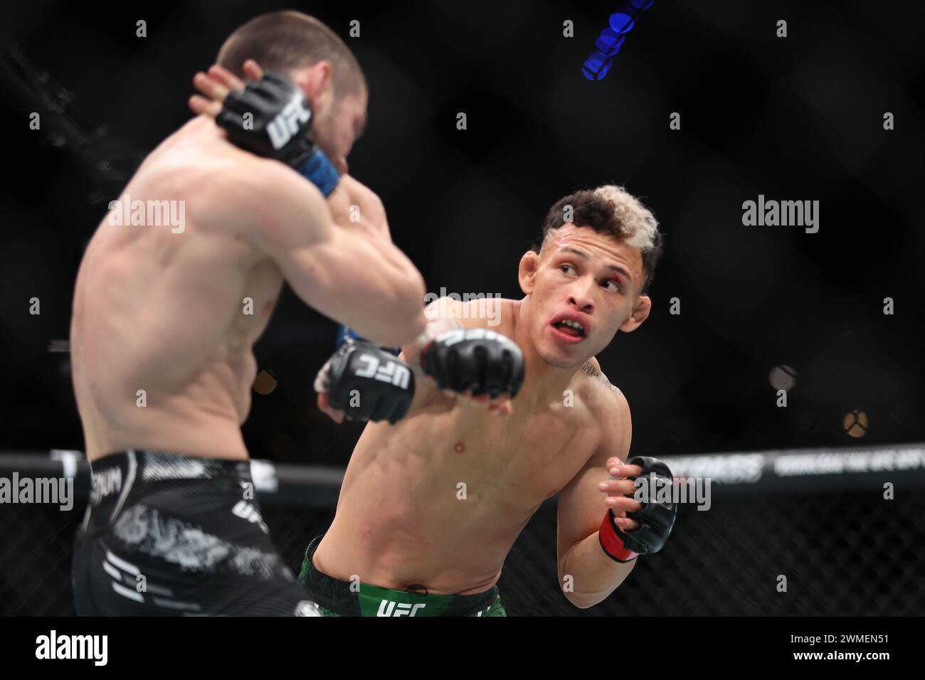 Mexico City, Mexico. 24th Feb, 2024. MEXICO CITY, MEX - February 24: Ronaldo Rodriguez and Denys Bondar fight in the 3-round Flyweight bout at the Arena CDMX for UFC Fight Night - Mexico City on February 24, 2024 in Mexico City, Distrito Federal, Mexico. (Photo by Alejandro Salazar/AG Fight) Credit: Px Images/Alamy Live News Stock Photo