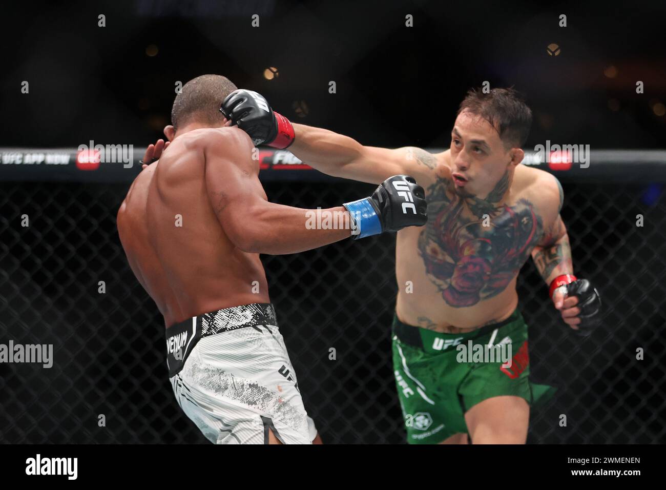 Mexico City, Mexico. 24th Feb, 2024. MEXICO CITY, MEX - February 24: Cristian Quiñonez and Raoni Barcelos fight in the 3-round Bantamweight bout at the Arena CDMX for UFC Fight Night - Mexico City on February 24, 2024 in Mexico City, Distrito Federal, Mexico. (Photo by Alejandro Salazar/AG Fight) Credit: Px Images/Alamy Live News Stock Photo